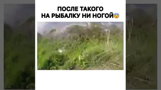 Прикол