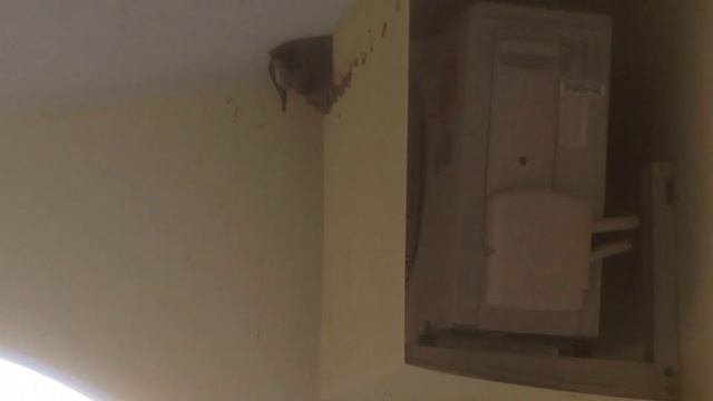 На балконе отеля острова Сардиния. (серия из путешествий). ) (2)