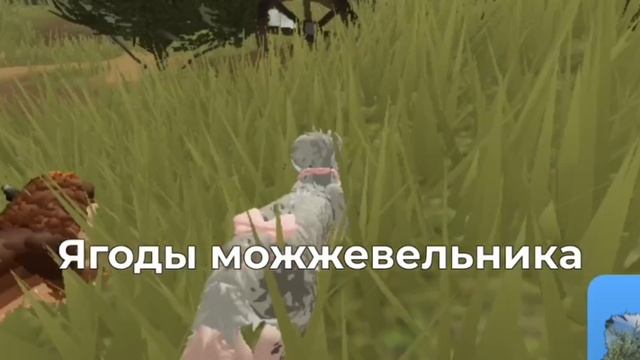 СХОДКА? ПРИДИТЕ ПОЖПЛУЙСТА