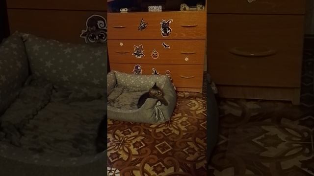 банда