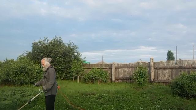 VID-20250625-WA0004.mp4