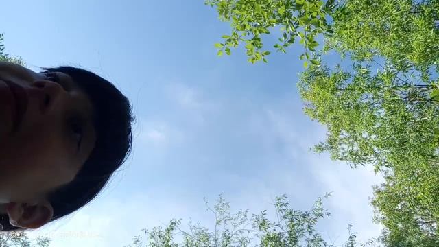 рор