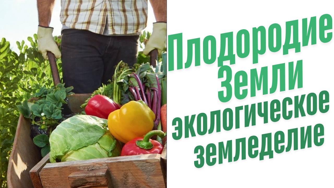 Экологическое земледелие.