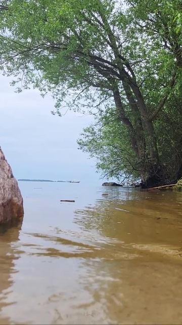 Лодка на Рыбинском море