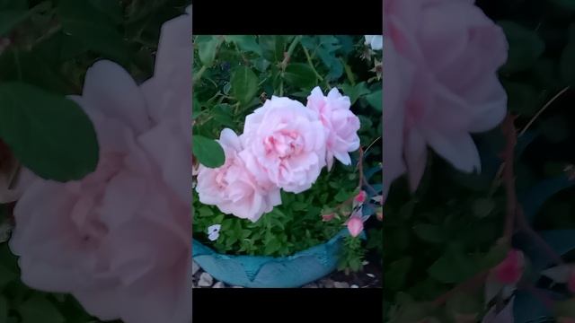 Прогулка по городу