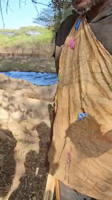 Африканские плоды кактуса любимое лакомство племени