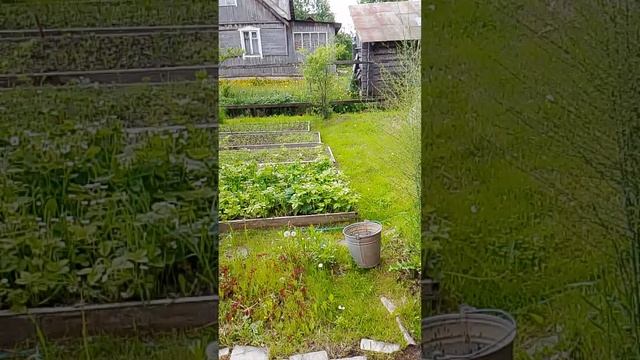 10 дней выживания в деревне 3 день 1 часть