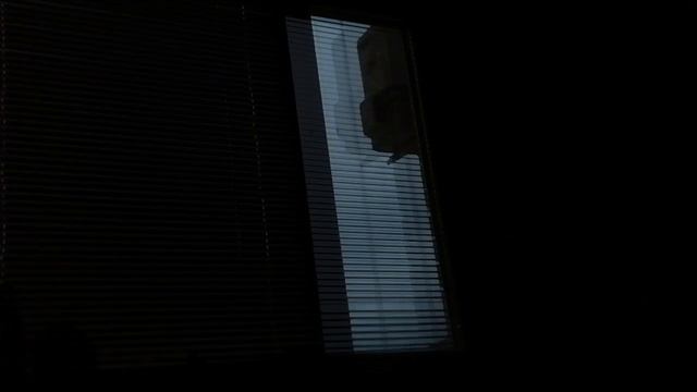 Удалось запечатлеть.mp4