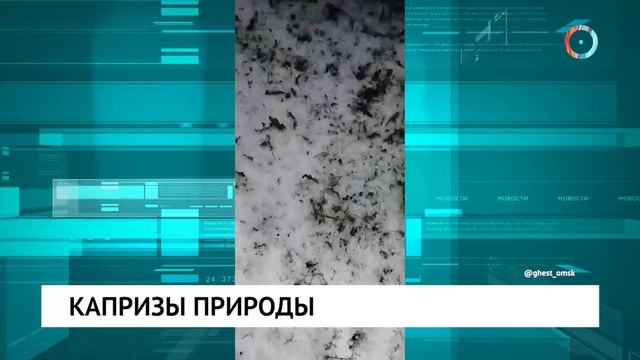 Капризы природы
