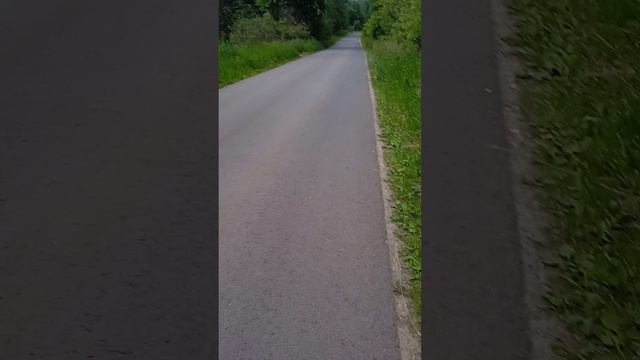 Город Павлова Старое Щербинино 5 часть