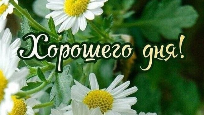 События дня!🙋🌹🍀