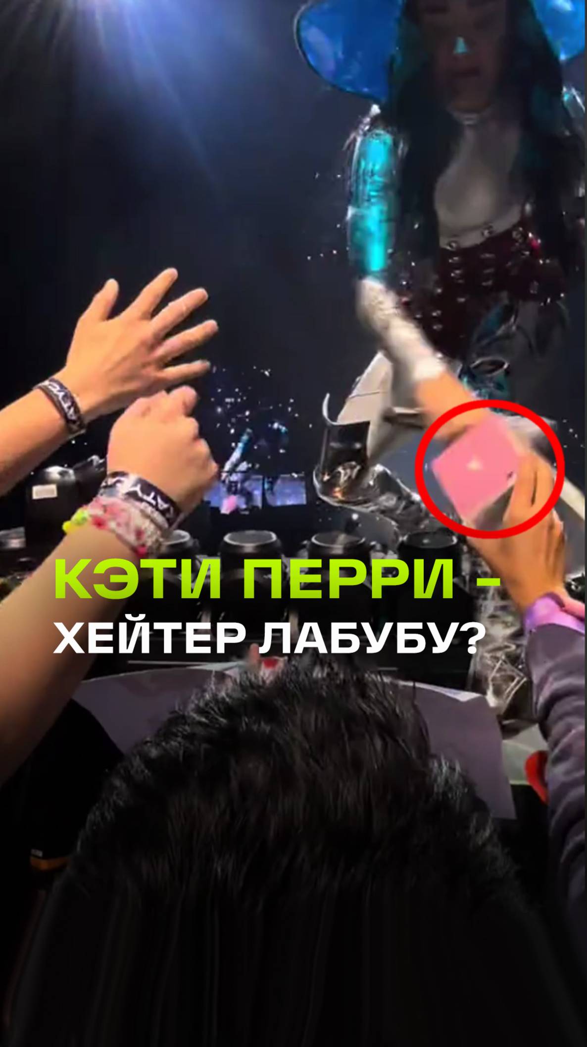 «Нет Лабубу!»: Кэти Перри ненавидит плюшевых монстров