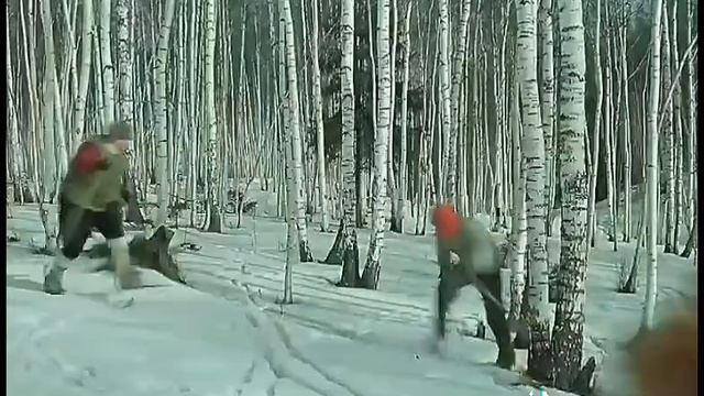 новый фильм