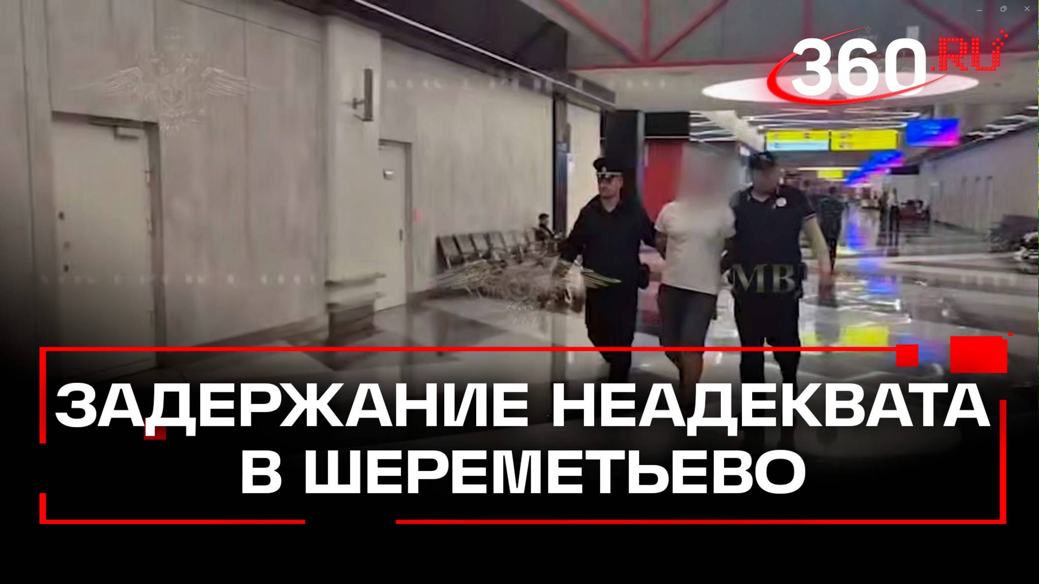 Задержание неадеквата после нападения на ребенка в аэропорту Шереметьево