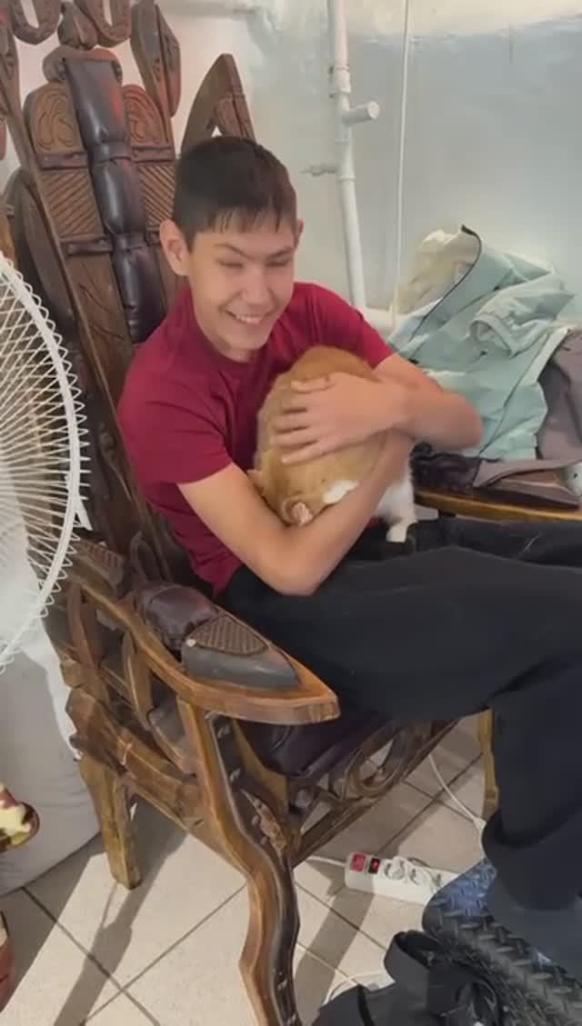 🐾 В гости к хвостатым: день в КотоДоме!