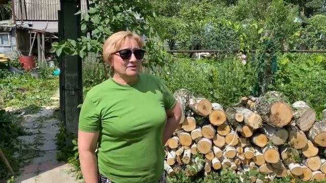 Спил большой берёзы в Коломенском районе