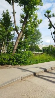 Продолжение о Заостровке