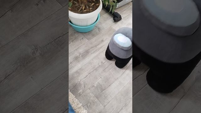 побег от чёрного амогусо