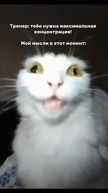 А чтобы так не было, следуйте нашим советам!