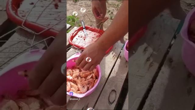 креветки
