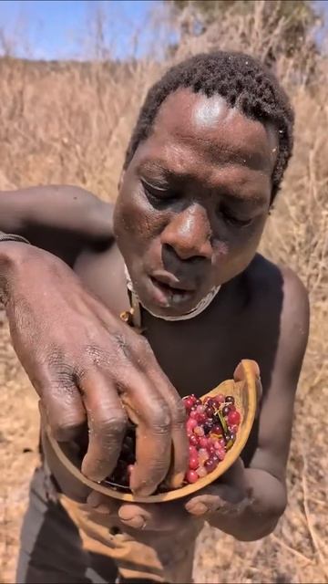 Брусника очень нравится жителям племени