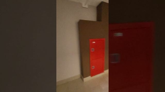 1000255281.mp4