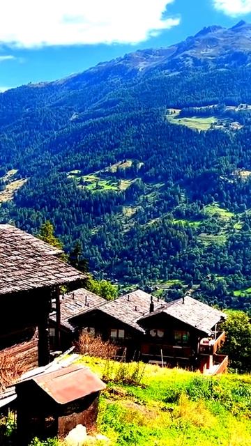 Камера сняла что-то странное