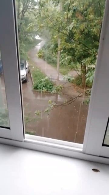 дождь