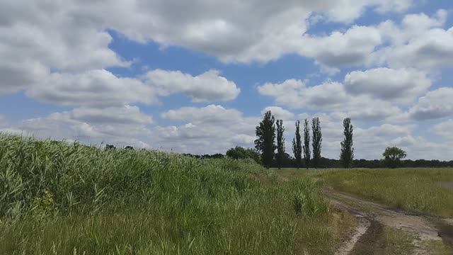 у воды