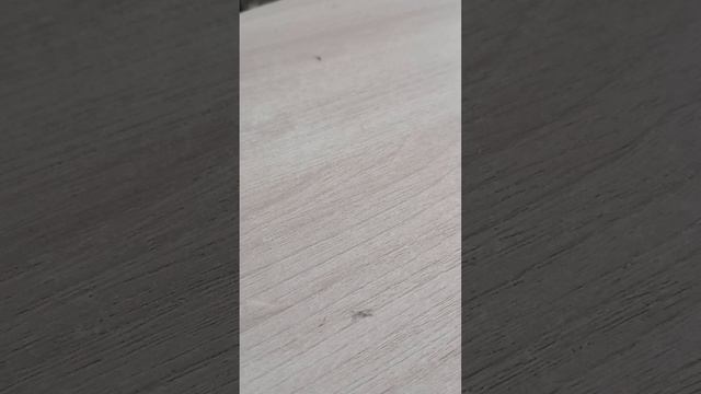 1000237334.mp4