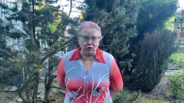 Спил аварийных деревьев в Чехове