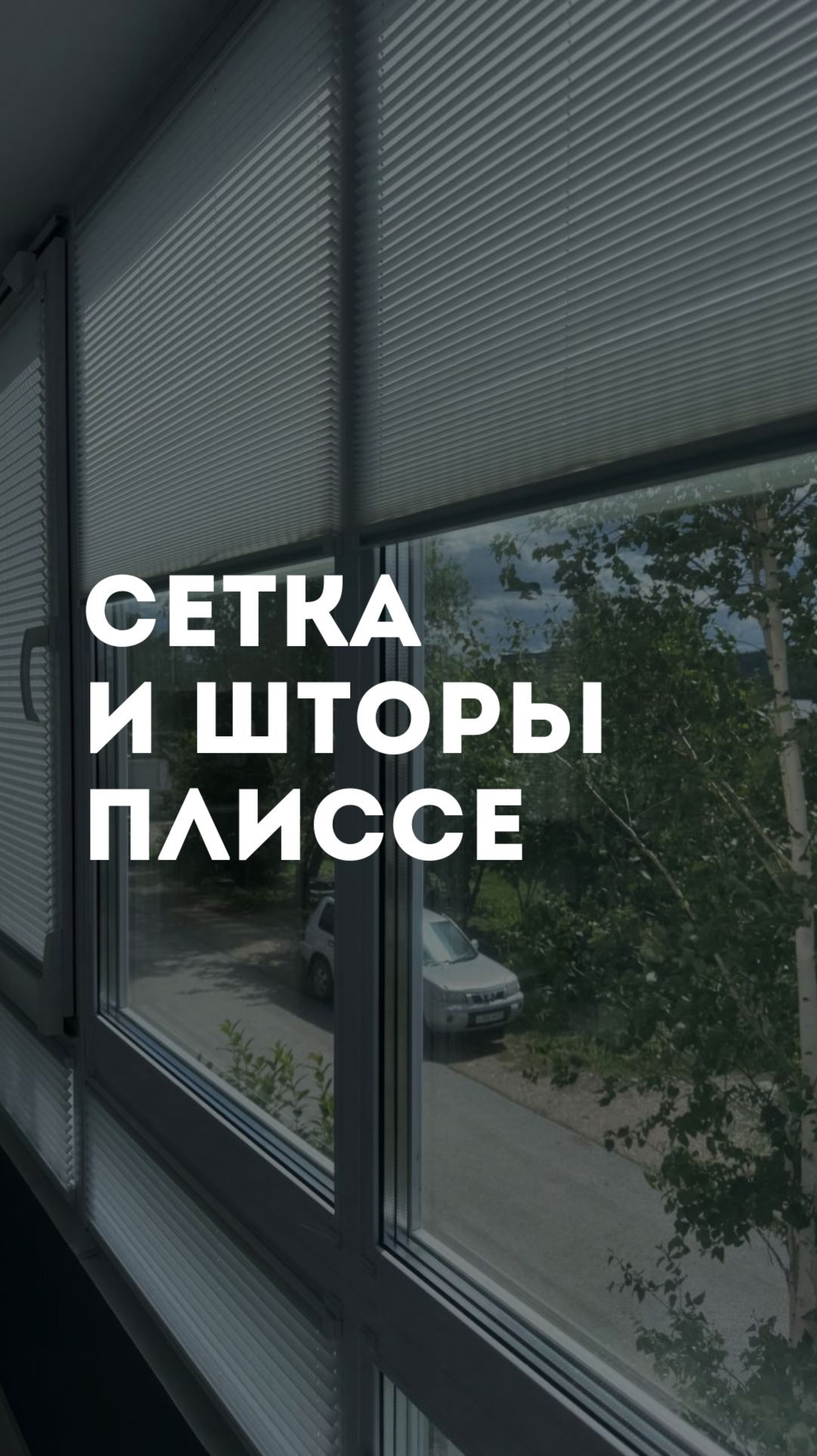Сетка и шторы плиссе