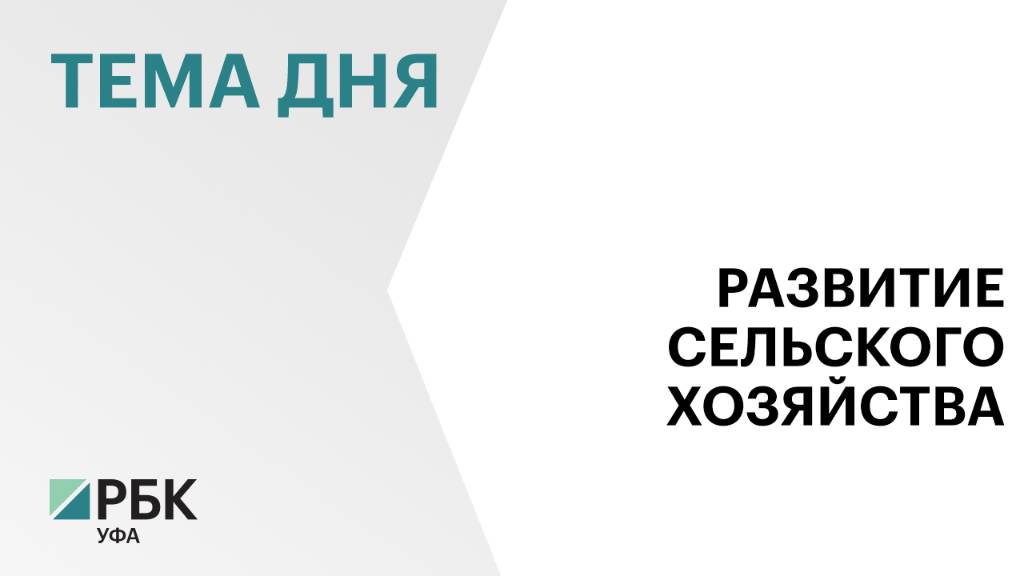 Объём валовой продукции в АПК по итогам 2024 г. в Башкортостане составил ₽252 млрд
