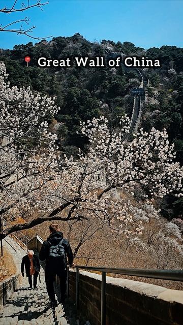 #китай #пекин #шанхай #запретныйгород #путешествия #china #beijing #greatwall #like