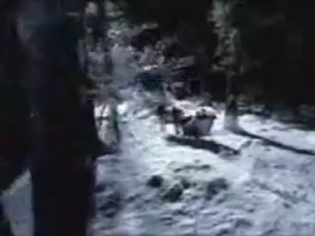НЕ ВАЛИТЕ БЕЛЫХ ЛОШАДЕЙ....