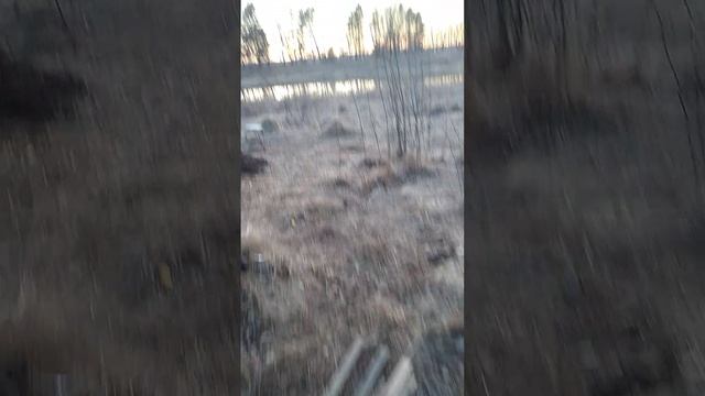 На берегу реки Клязьма нашли настоящую землянку с крышей, дверью и вентиляцией