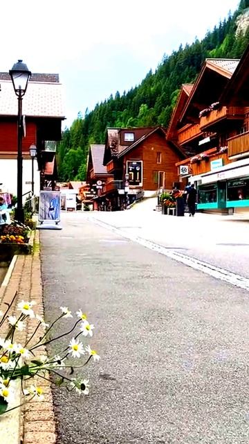 Реальные моменты жизни