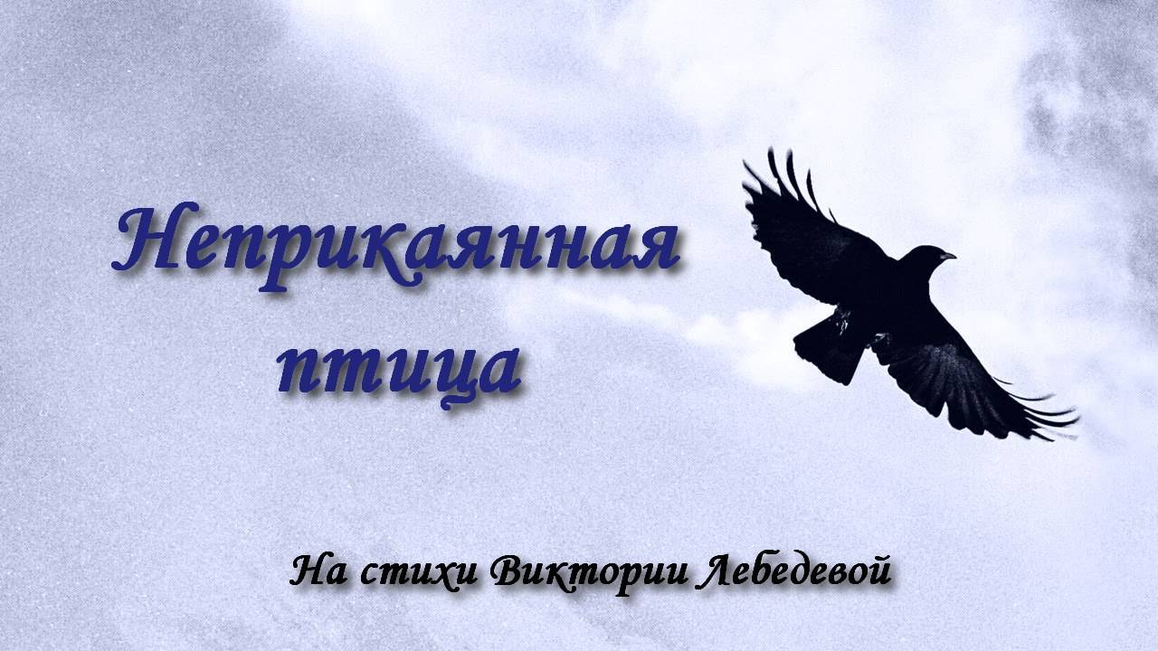 Неприкаянная птица (Песня)