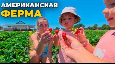 24-06-2025 | ФЕРМА vs МАГАЗИН США: сколько ЗАРАБАТЫВАЮТ в Trader Joe