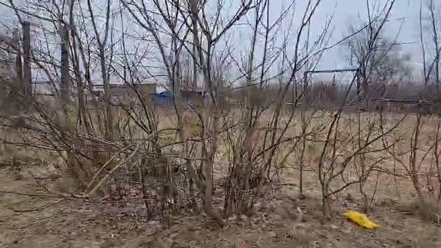 МО, сельское пос. Степановское, п. Елизаветино, ул. Прудная, дом 1