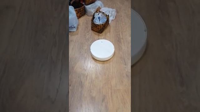Дачный пылесос 2021 09 15