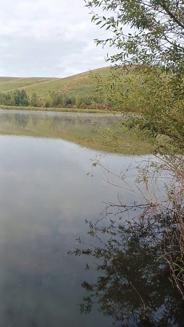 Красивый пейзаж