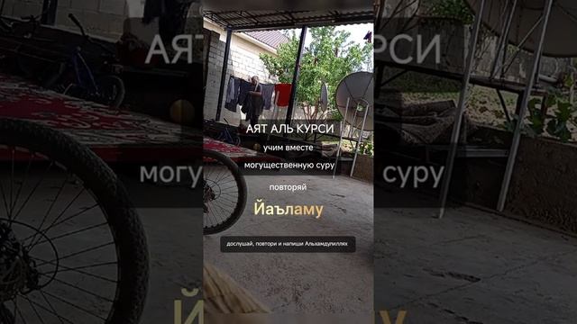 1000256562.mp4