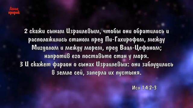 Технологии Бога -- Сергей Молчанов