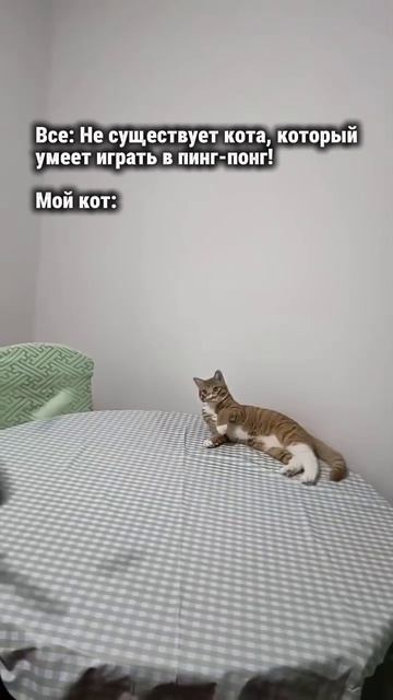 Когда ты уникальный