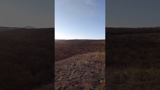 Манит новая возможность