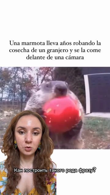Llevar+gerundio