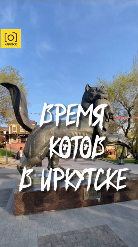ВРЕМЯ КОТОВ В ИРКУТСКЕ
