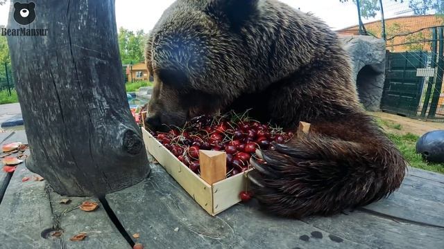 Черешневое настроение