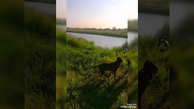 Video_20250624213946617_by_VideoShow.mp4